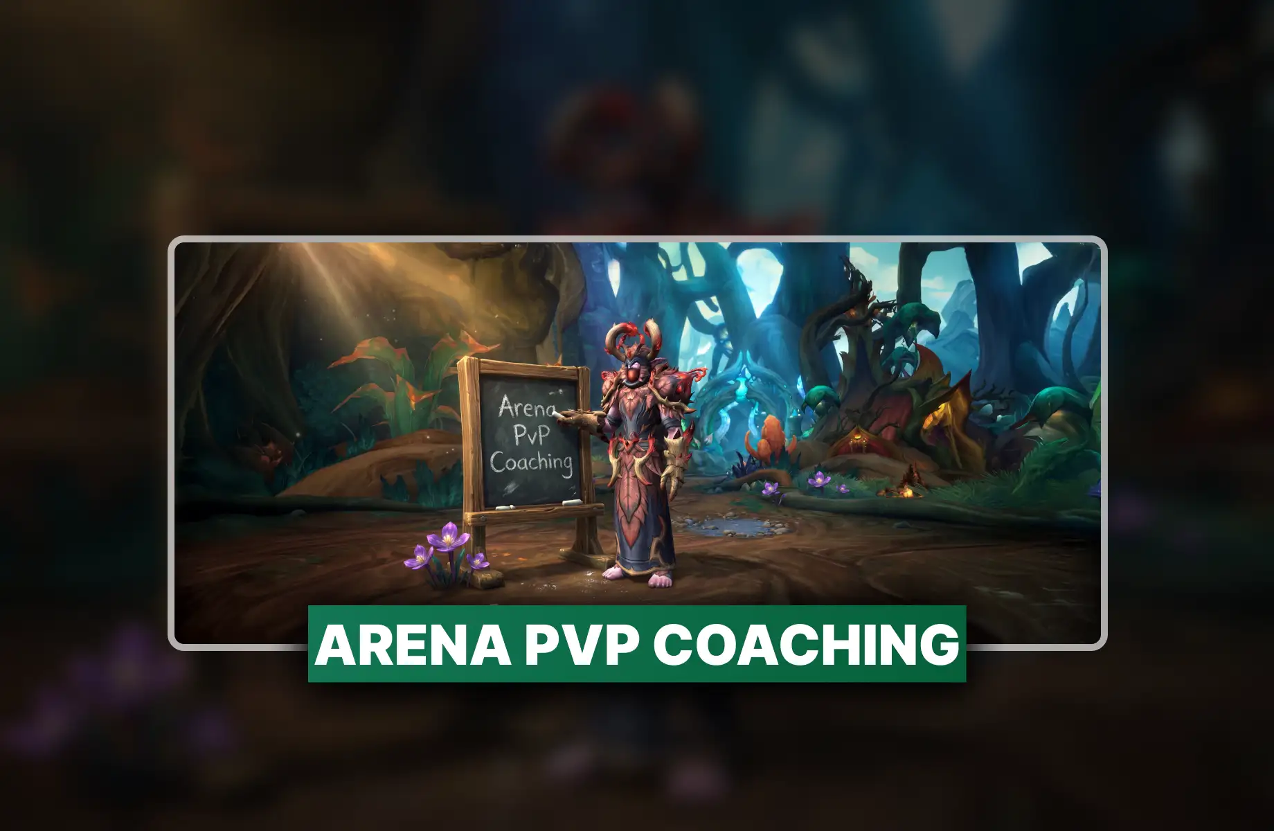 PvP Coaching